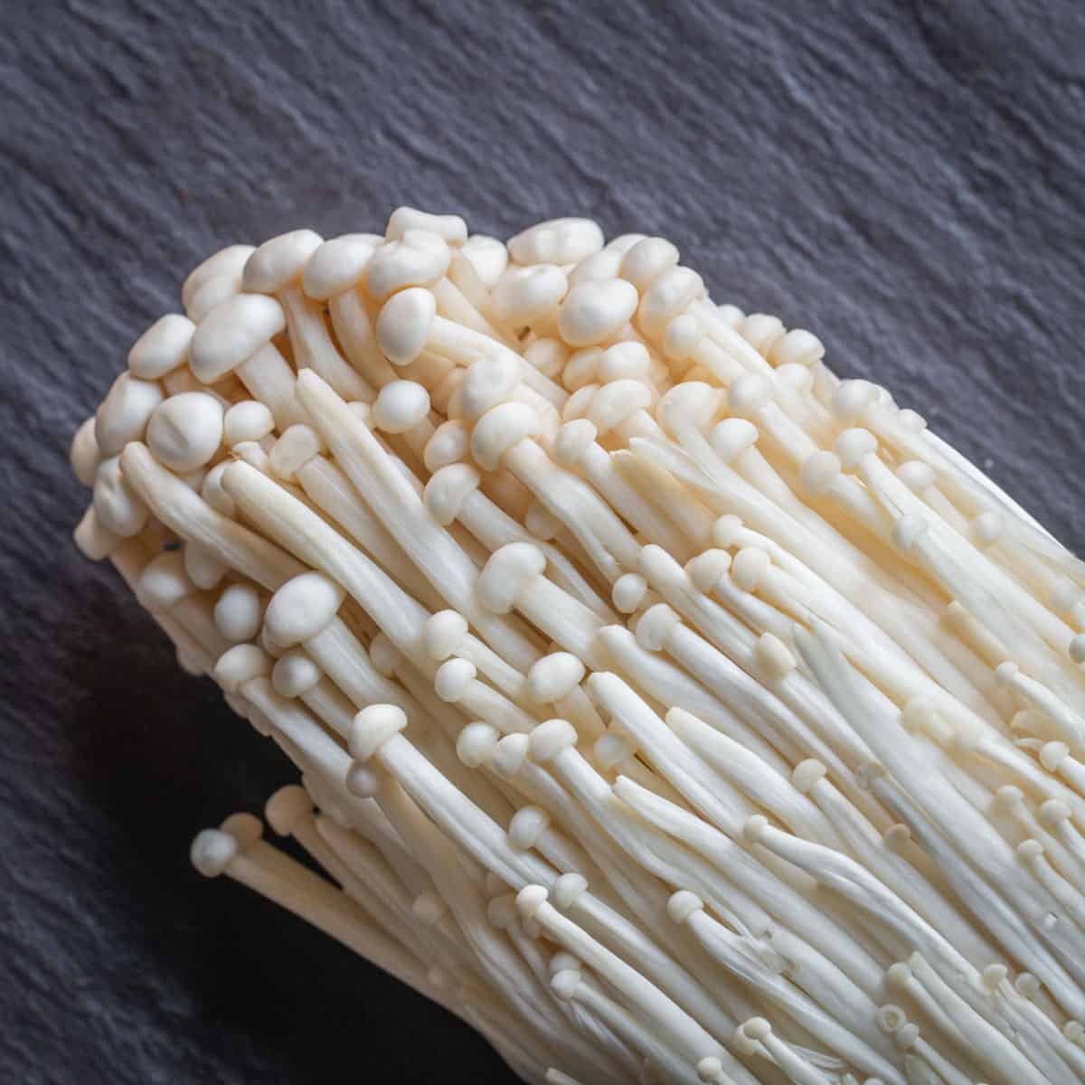 10cc Liquid Culture Syringe - Enoki - BetterGrow Hydro