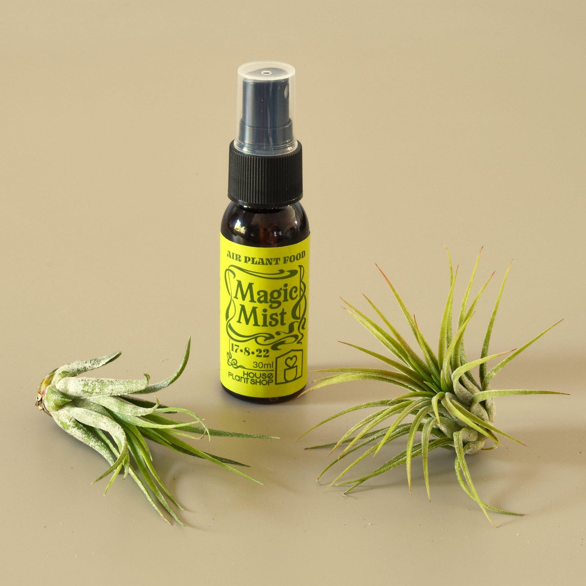 2 Tillandsia Air Plant Pack with Fertilizer Spray - BetterGrow Hydro
