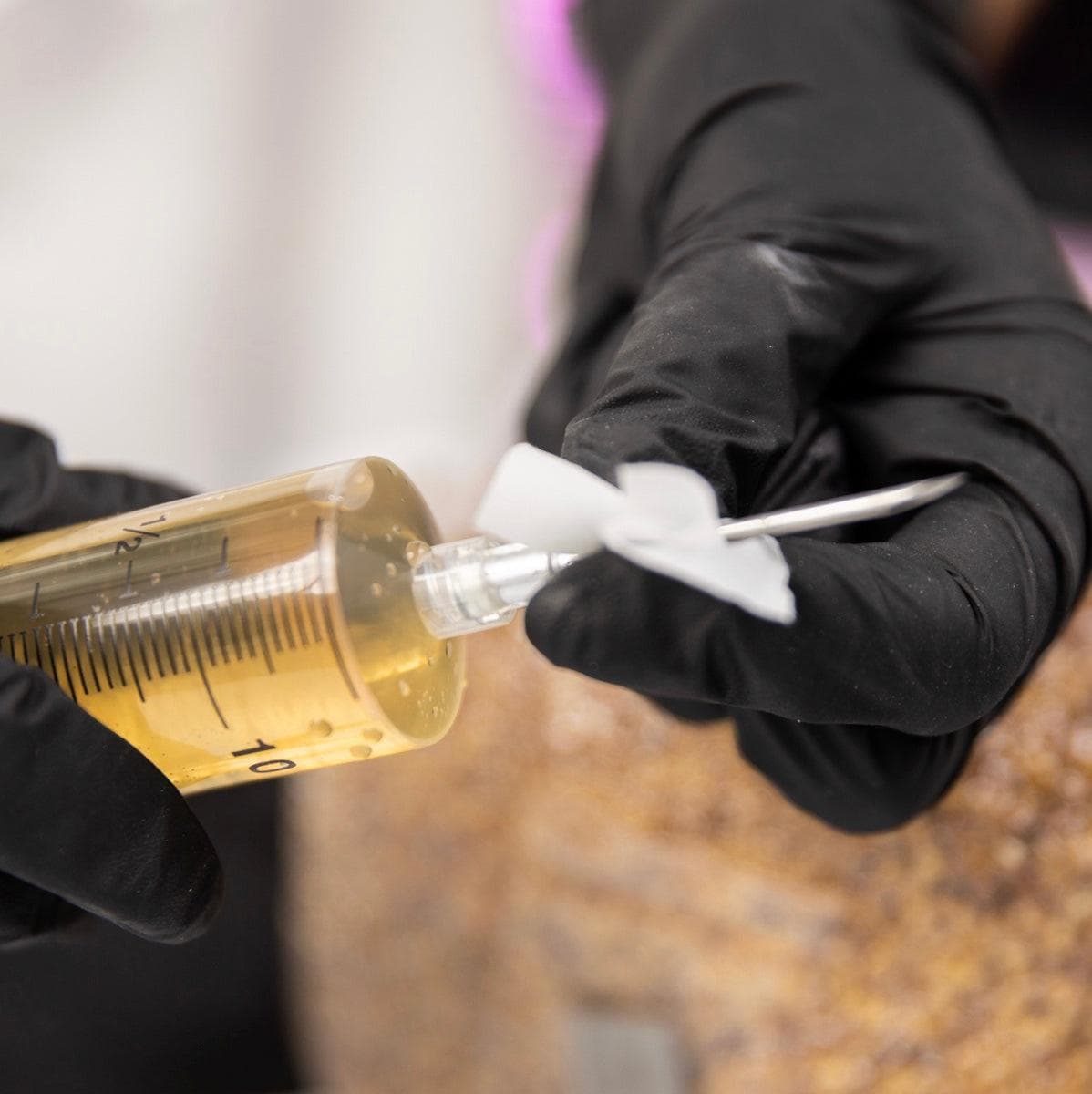 30x Syringe Multiplier & Spore Germination Liquid Culture Kit - BetterGrow Hydro