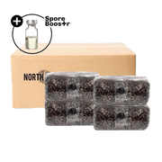 4-pack 'ShroomTek' + Spore Boostr All-in-One Mushroom Grow Bag - BetterGrow Hydro