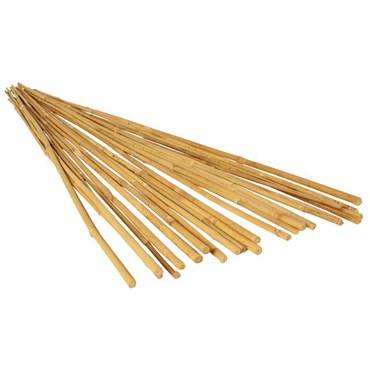 Bamboo Supply 8' Bamboo Stake 24-26mm Natural 50/BD