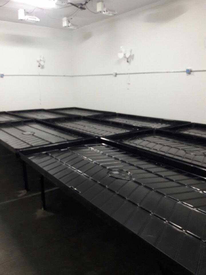 4ft x 4ft Standard Rolling Bench System - BetterGrow Hydro