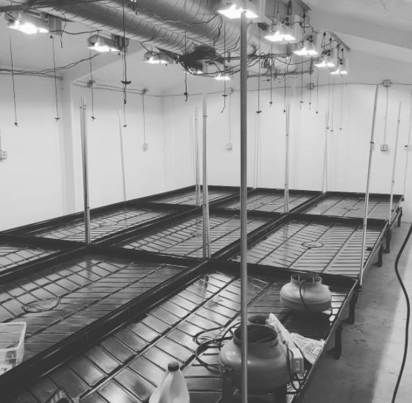 4ft x 6ft Standard Rolling Bench System - BetterGrow Hydro