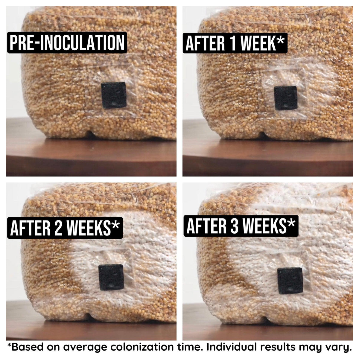 8-Pack Organic Sterilized Grain Spawn Bags - BetterGrow Hydro