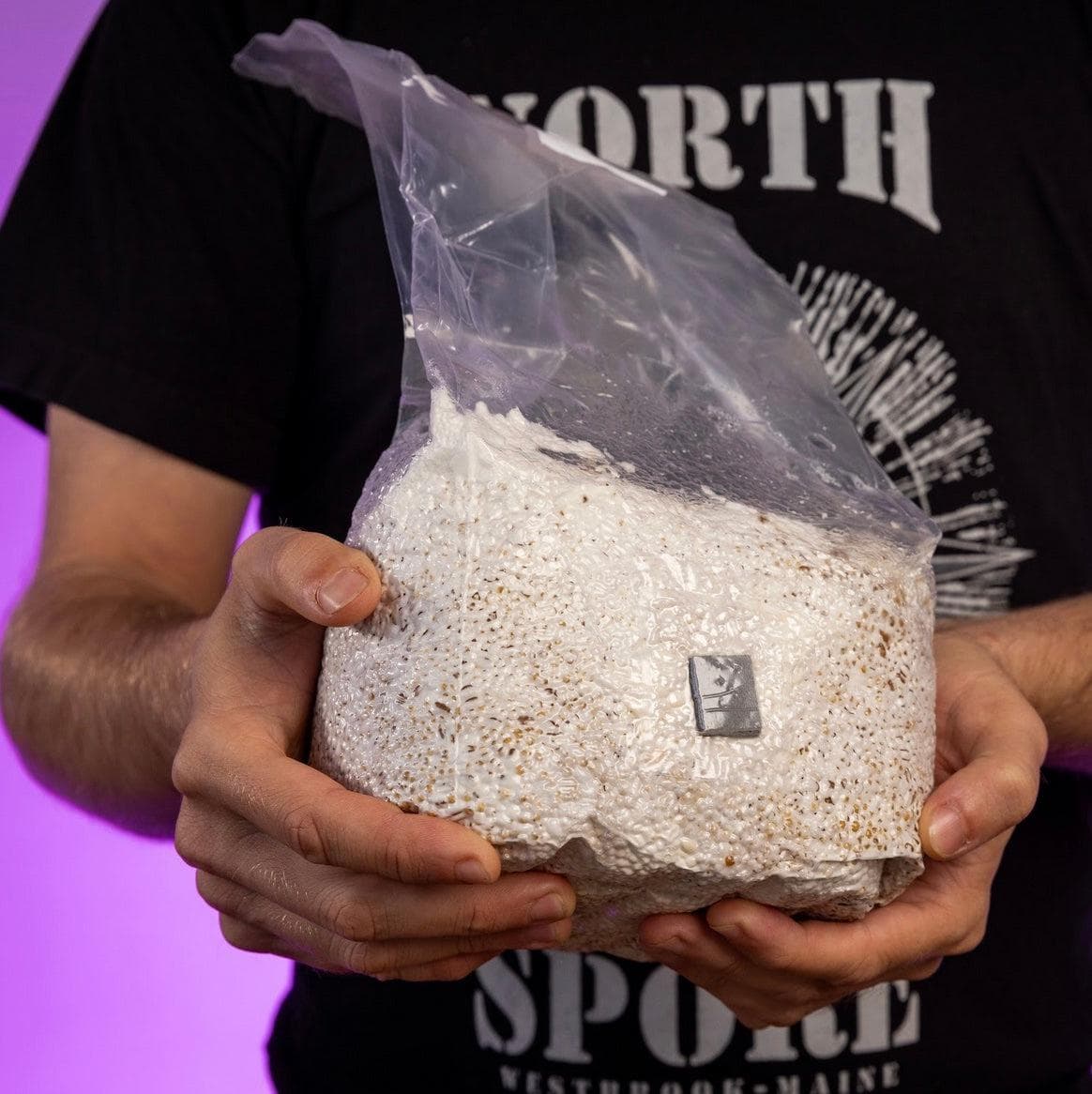 8-Pack Organic Sterilized Grain Spawn Bags - BetterGrow Hydro