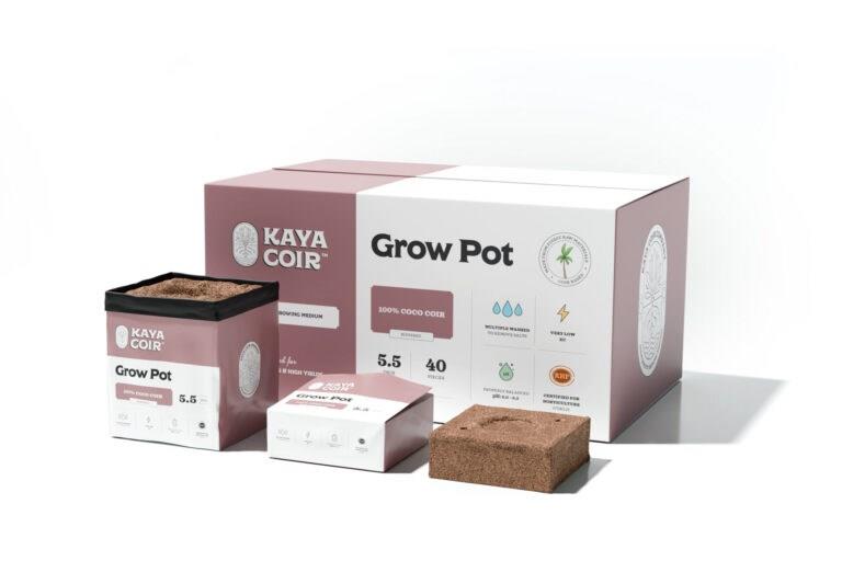 Kaya 5.5" Grow Pot (40/Box)
