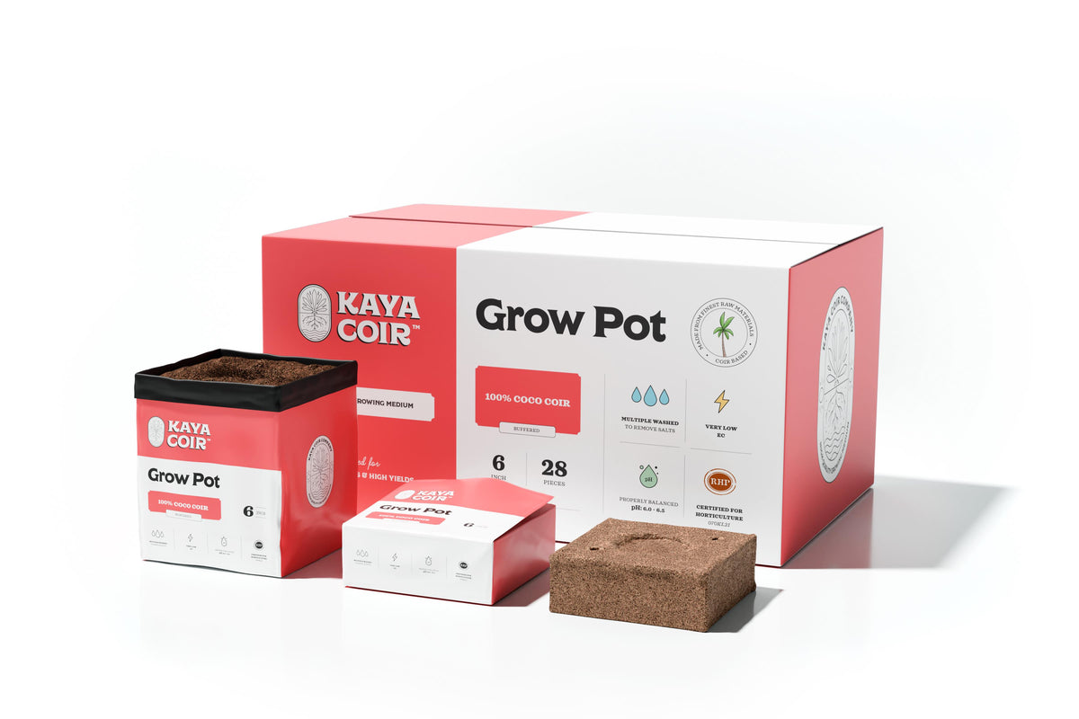 Kaya 6" Grow Pot (28/Box)