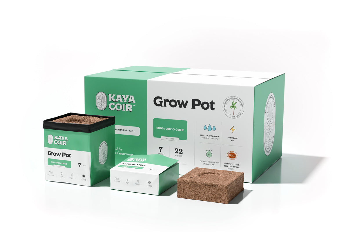 Kaya 7" Grow Pot (22/Box)
