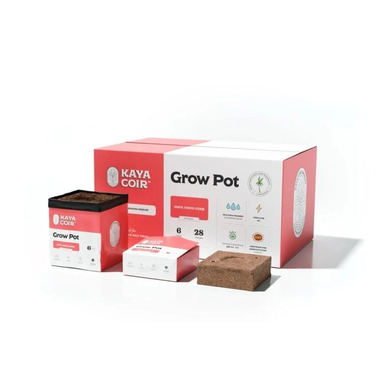 Kaya 6" Coco Cube (28/Box)