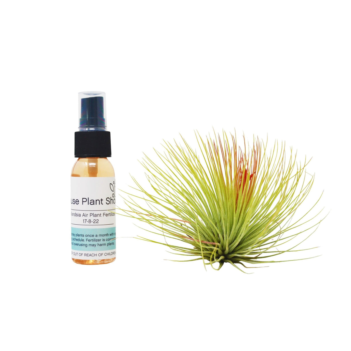 Adreana Air Plant w/ Fertilizer - BetterGrow Hydro
