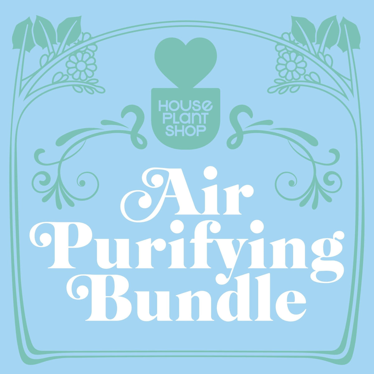 Air Purifying Variety Bundle - BetterGrow Hydro