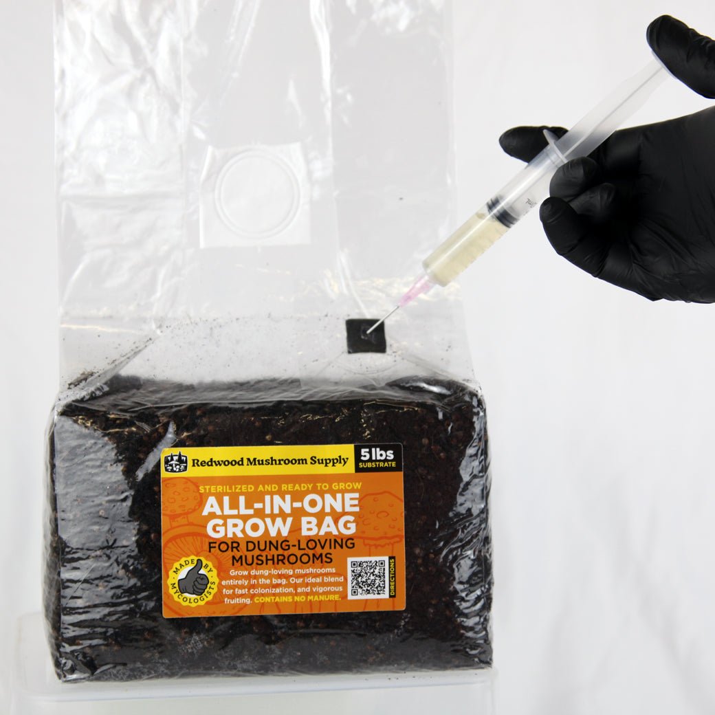 All - in - One Grow Bag for Dung - Loving Mushrooms - CVG - 5 lb - BetterGrow Hydro