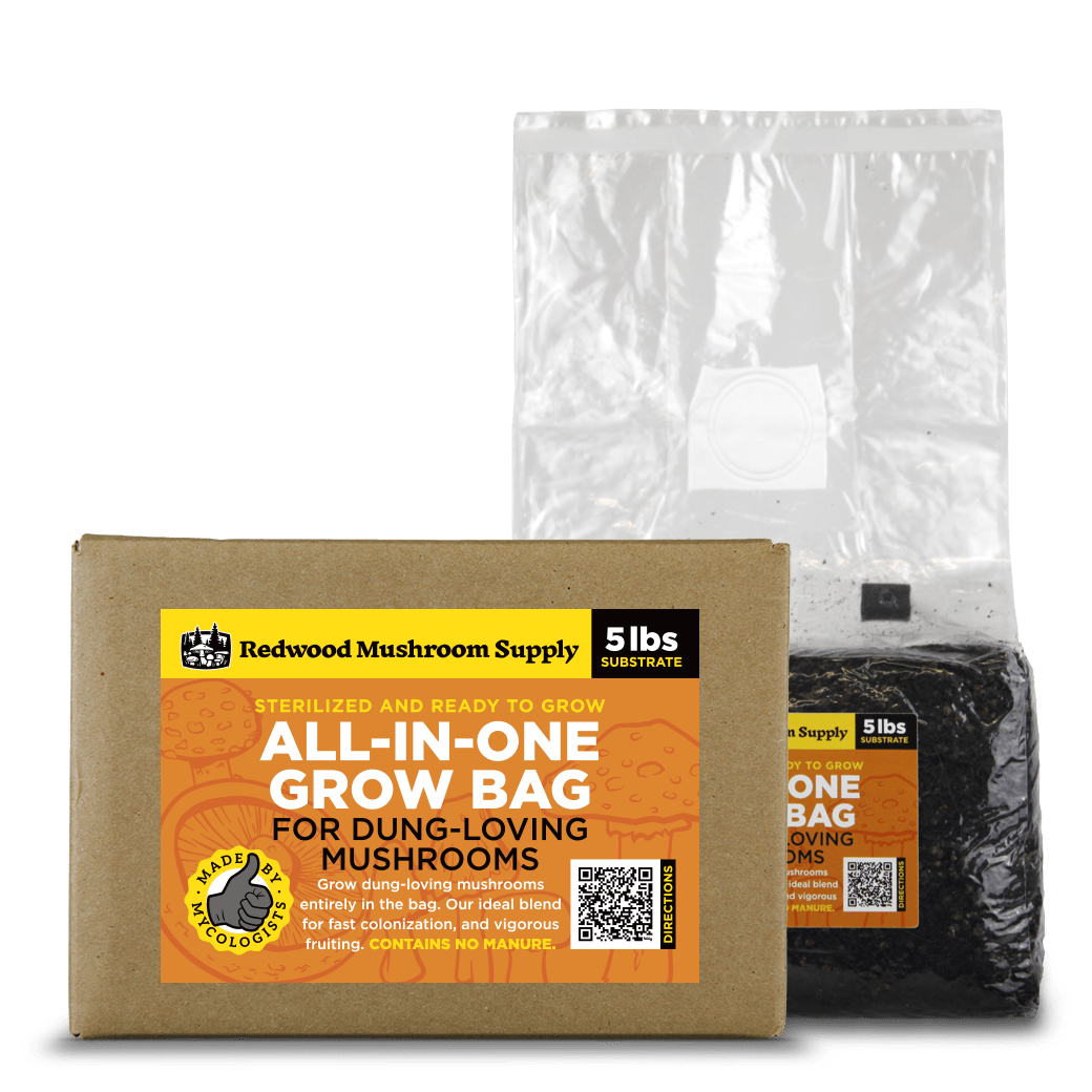 All - in - One Grow Bag for Dung - Loving Mushrooms - CVG - 5 lb - BetterGrow Hydro