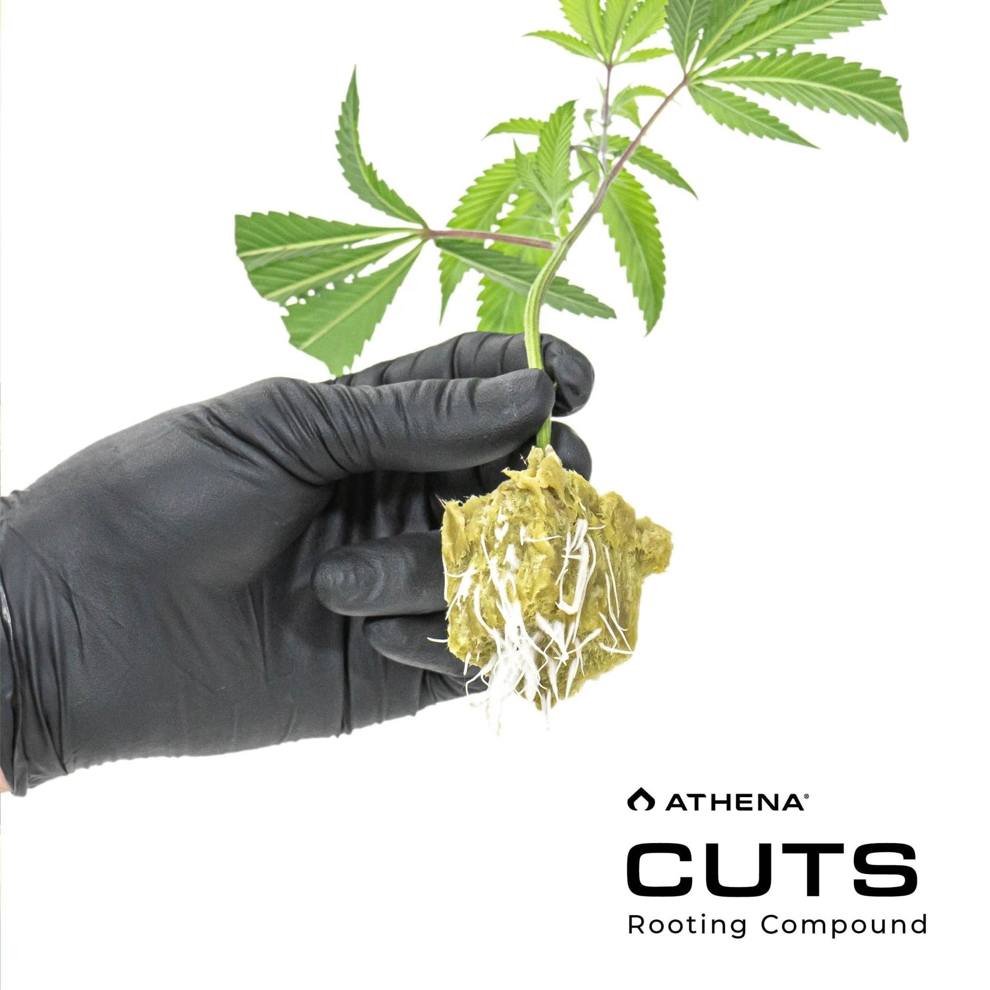Athena Cuts Rooting Gel Compound - 8oz - BetterGrow Hydro