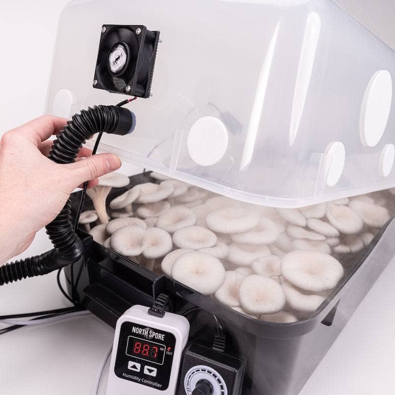 Automated 'Boomr Bin' + CVG Monotub Mushroom Grow Kit - BetterGrow Hydro