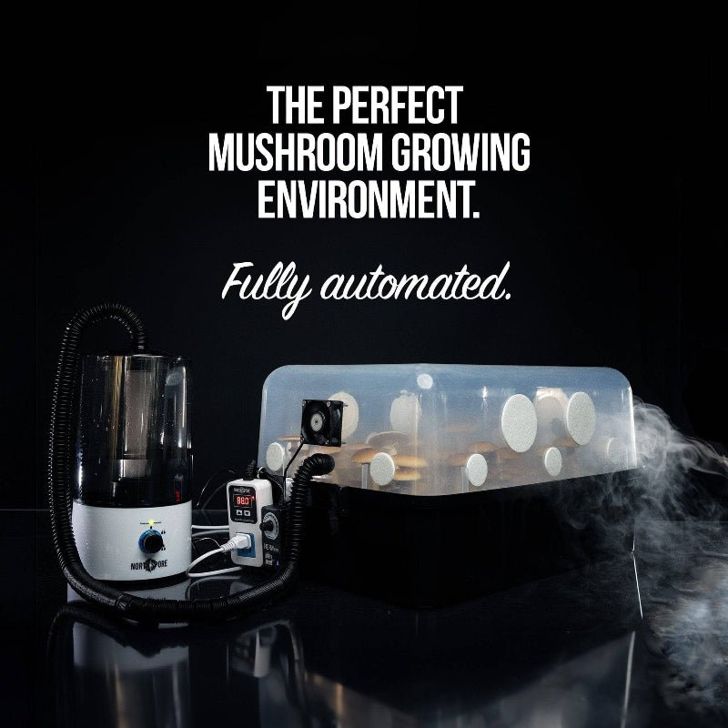 Automated 'Boomr Bin' + CVG Monotub Mushroom Grow Kit - BetterGrow Hydro