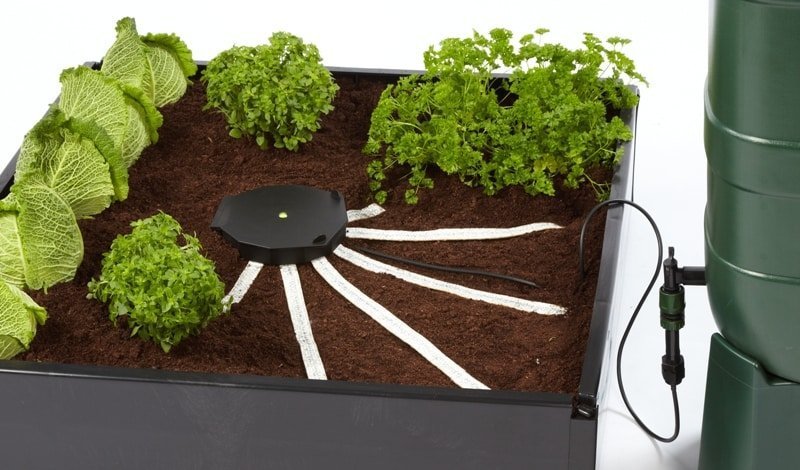 AutoPot AQUAbox Spyder - Raised Bed Water Distribution System - BetterGrow Hydro