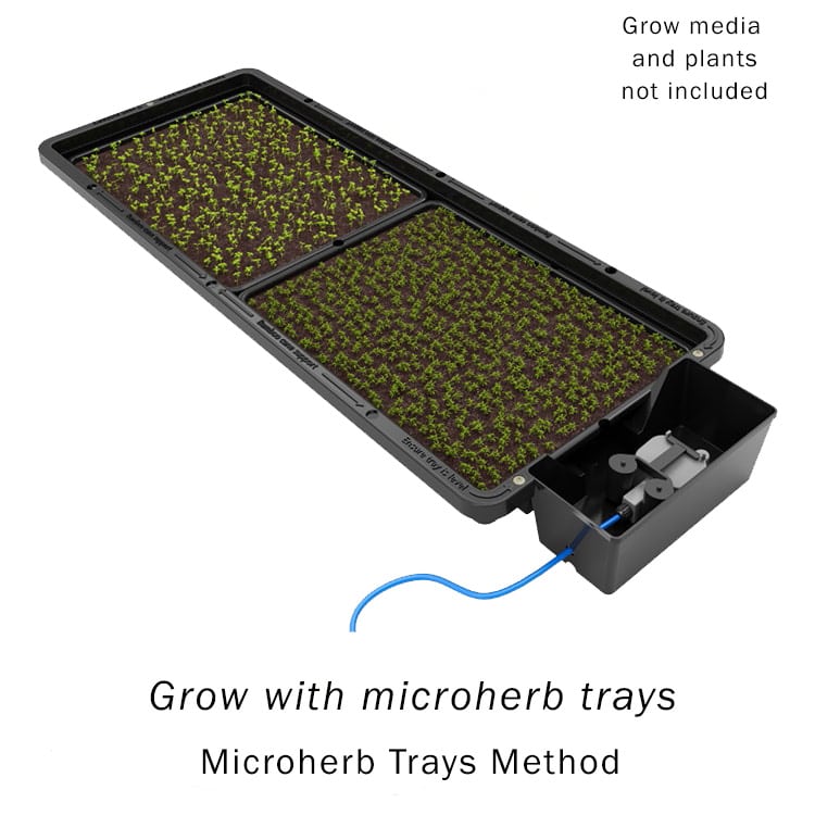 AutoPot Tray2Grow Micrgreen Tray - No Holes - BetterGrow Hydro