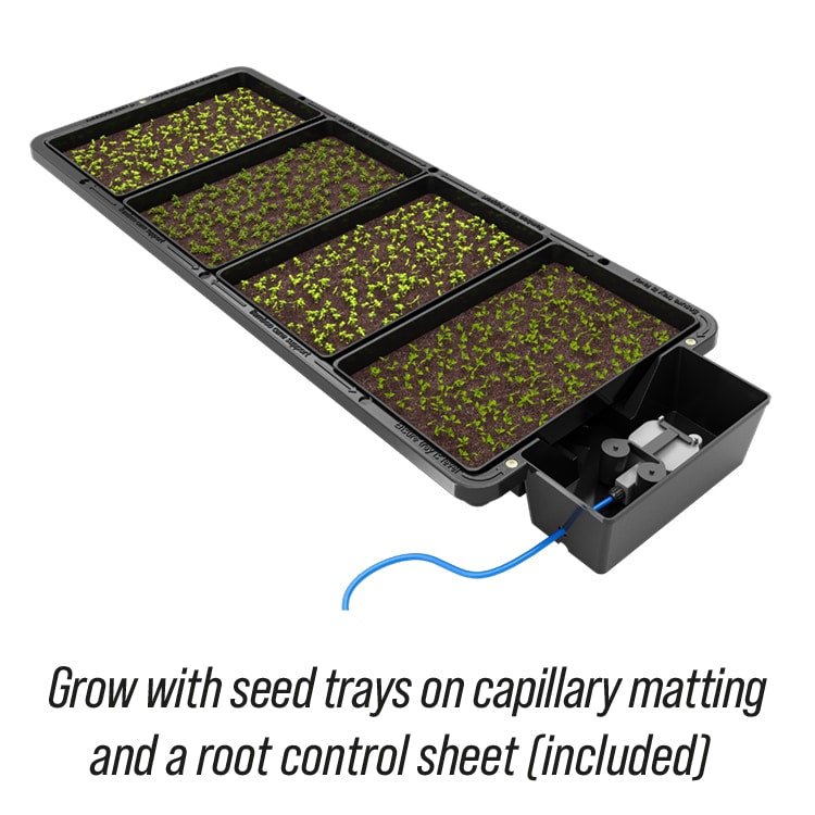 AutoPot Tray2Grow Seed Tray - BetterGrow Hydro
