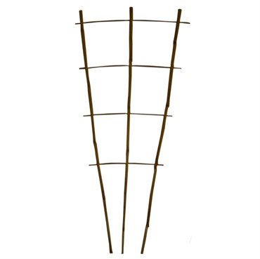 Bamboo Supply Natural Bamboo Fan Trellis 50/Bundle - BetterGrow Hydro