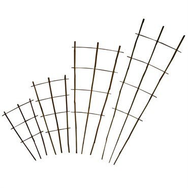 Bamboo Supply Natural Bamboo Fan Trellis 50/Bundle - BetterGrow Hydro