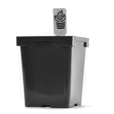 Belden Jumbo Jr Square Pot Black - case of 375 - BetterGrow Hydro