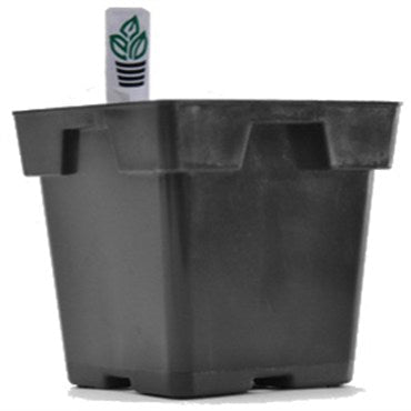 Belden Jumbo Square Tagspot Pot Black - case of 200 - BetterGrow Hydro