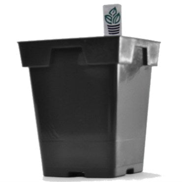 Belden Jumbo Sr Square Pot 5.25" X 6.50" Black - case of 200 - BetterGrow Hydro
