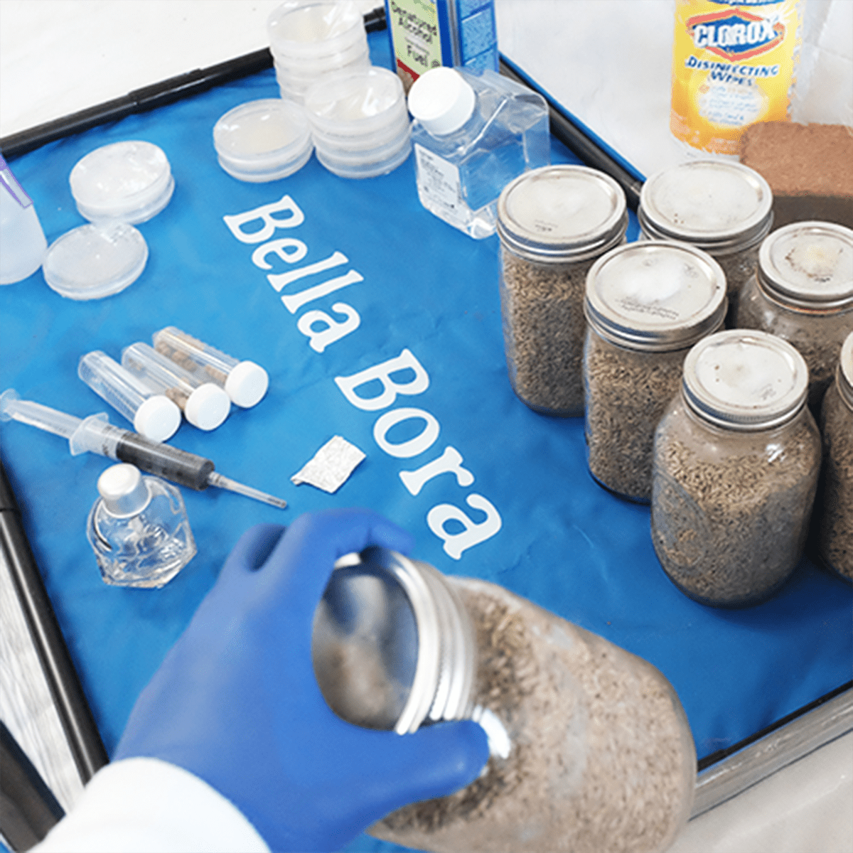Bella Bora Still Air Box for Mycology and Tissue Culture - BetterGrow Hydro