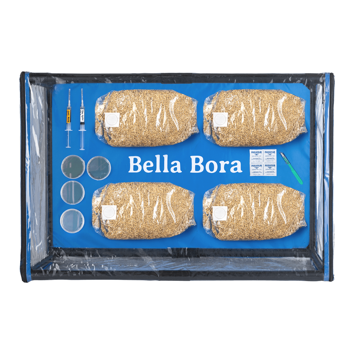 Bella Bora Still Air Box for Mycology and Tissue Culture - BetterGrow Hydro