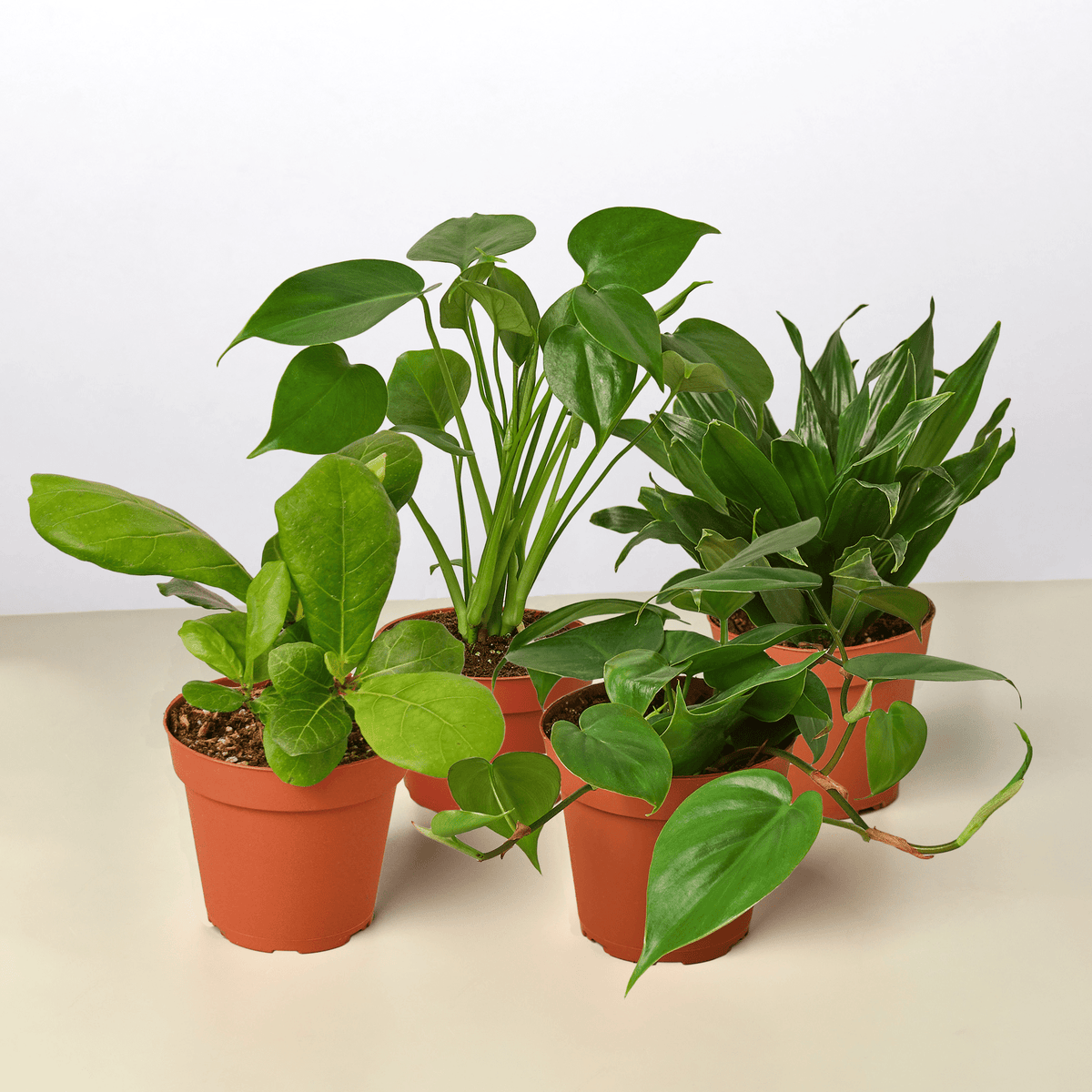 Best Selling Bundle - BetterGrow Hydro