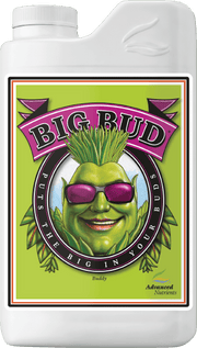 Big Bud Liquid - BetterGrow Hydro