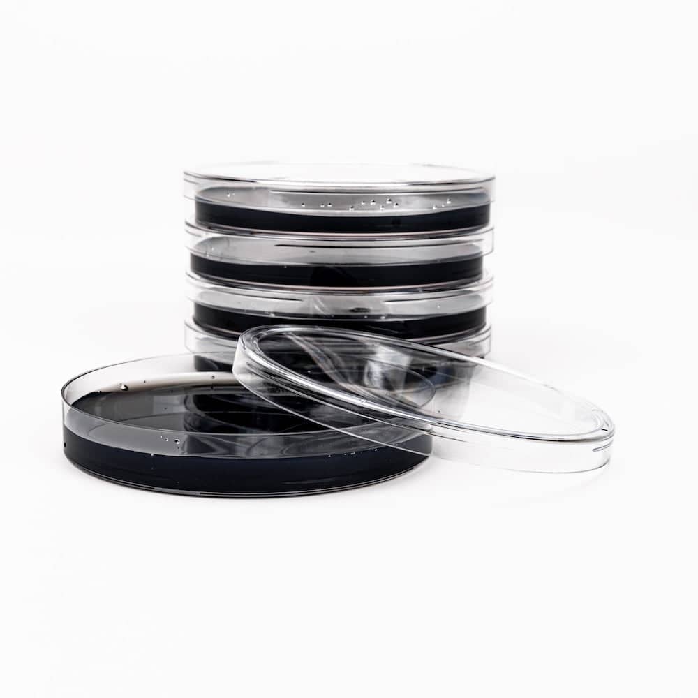 Black Biochar Pre-Poured Sterile Agar Plates - BetterGrow Hydro