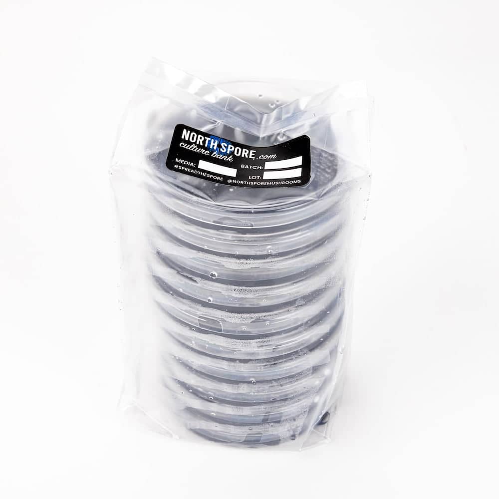 Black Biochar Pre-Poured Sterile Agar Plates - BetterGrow Hydro