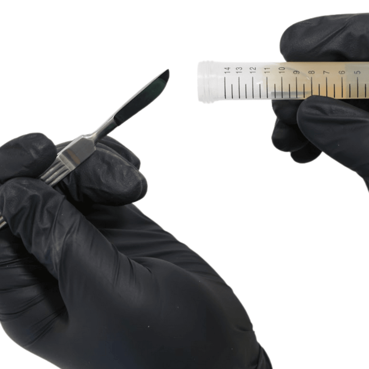 Black Nitrile Powder-Free Laboratory Gloves (100 ct) - BetterGrow Hydro
