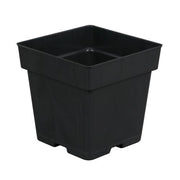 Black Square Pot 5.25in x 5.25in x 5.25in - BetterGrow Hydro