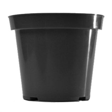 BLD 04.50 GERANIUM BLK 600/CS - BetterGrow Hydro