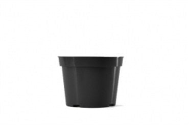 BLD 06.00 AZ BLK 300/CS - BetterGrow Hydro