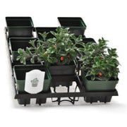 BLD WEBFIT 4515 TRAY 30/CS - BetterGrow Hydro