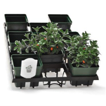 BLD WEBFIT 4515 TRAY 30/CS - BetterGrow Hydro