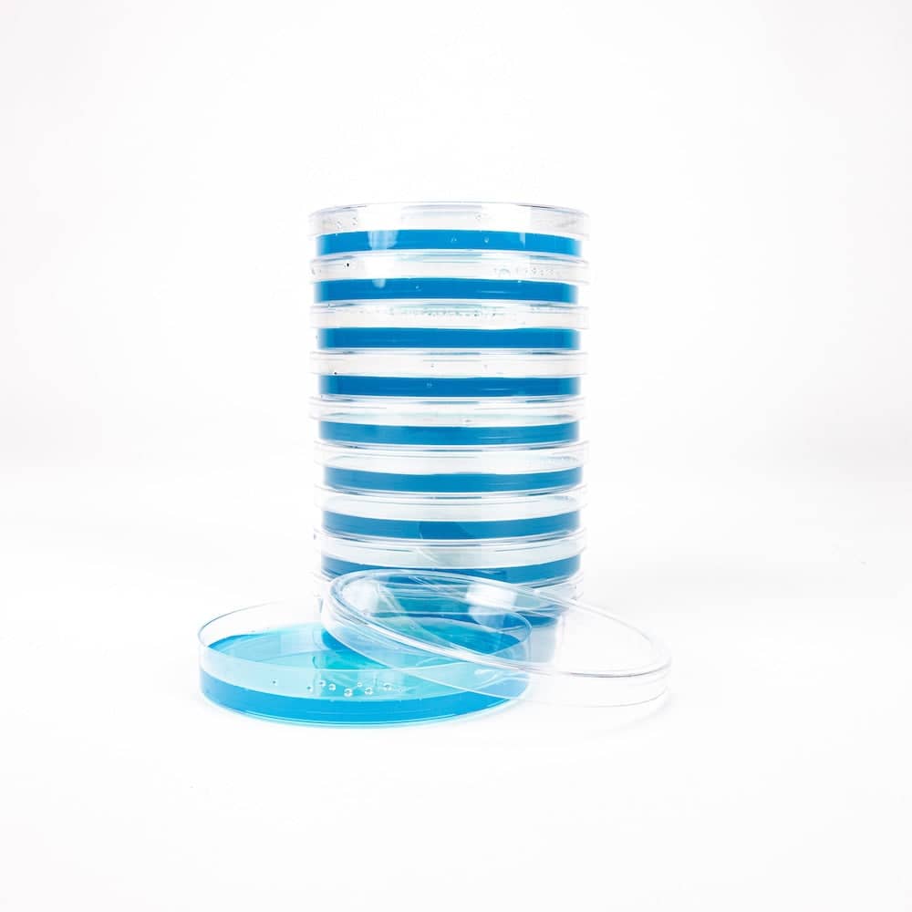 Blue Antibiotic Pre-Poured Sterile Agar Plates - BetterGrow Hydro