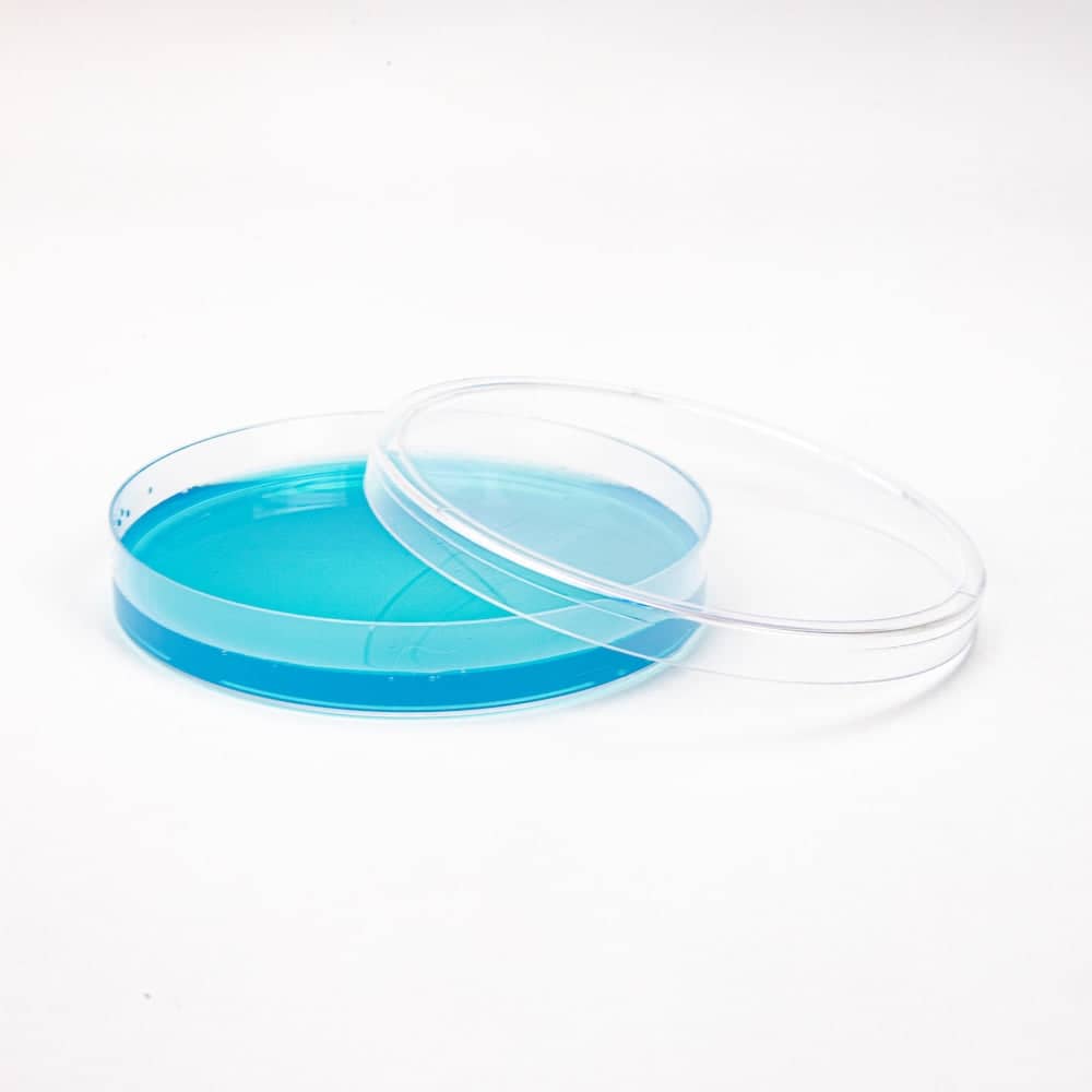 Blue Antibiotic Pre-Poured Sterile Agar Plates - BetterGrow Hydro