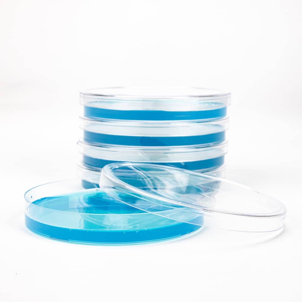 Blue Antibiotic Pre-Poured Sterile Agar Plates - BetterGrow Hydro