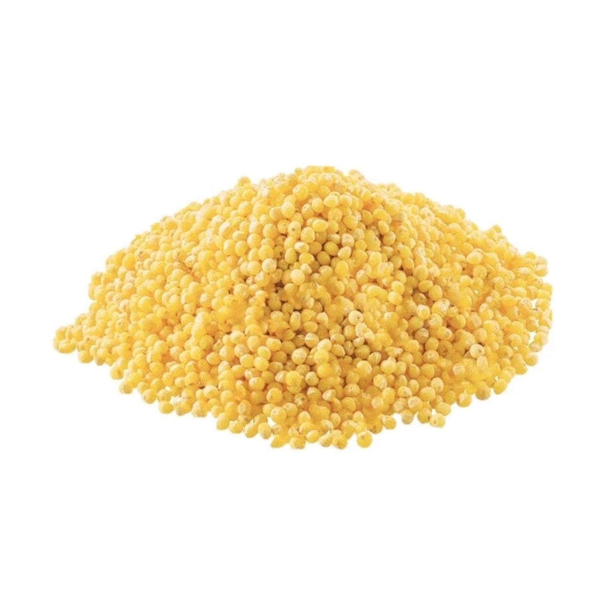 Bulk Organic Millet Grain for Mushroom Cultivation - BetterGrow Hydro