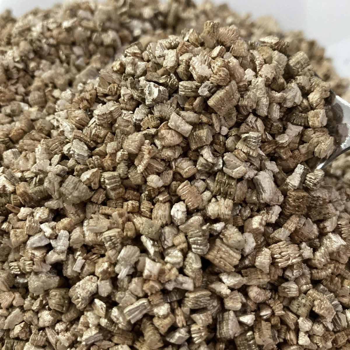 Bulk Vermiculite for Mushroom Cultivation - BetterGrow Hydro