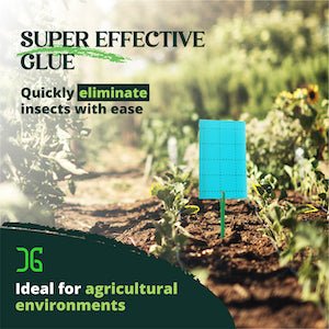 Catchmaster 3" x 5" Double-Sided Blue Sticky Card Pest Monitors (72pcs/Pack) - BetterGrow Hydro