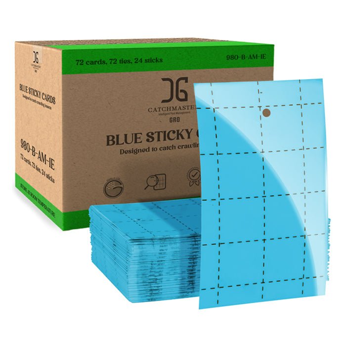 Catchmaster 3" x 5" Double-Sided Blue Sticky Card Pest Monitors (72pcs/Pack) - BetterGrow Hydro