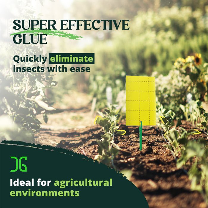 Catchmaster 3" x 5" Double-Sided Yellow Sticky Card Insect Traps (72pcs/Pack) - BetterGrow Hydro