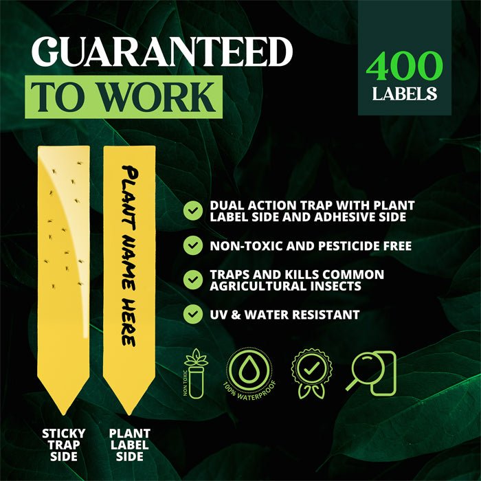 Catchmaster Dual Action Plant Stakes 100pcs (4 Pack) - BetterGrow Hydro