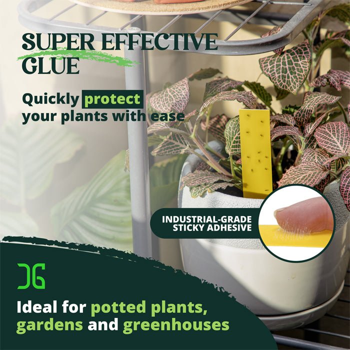 Catchmaster Dual Action Plant Stakes 100pcs (4 Pack) - BetterGrow Hydro